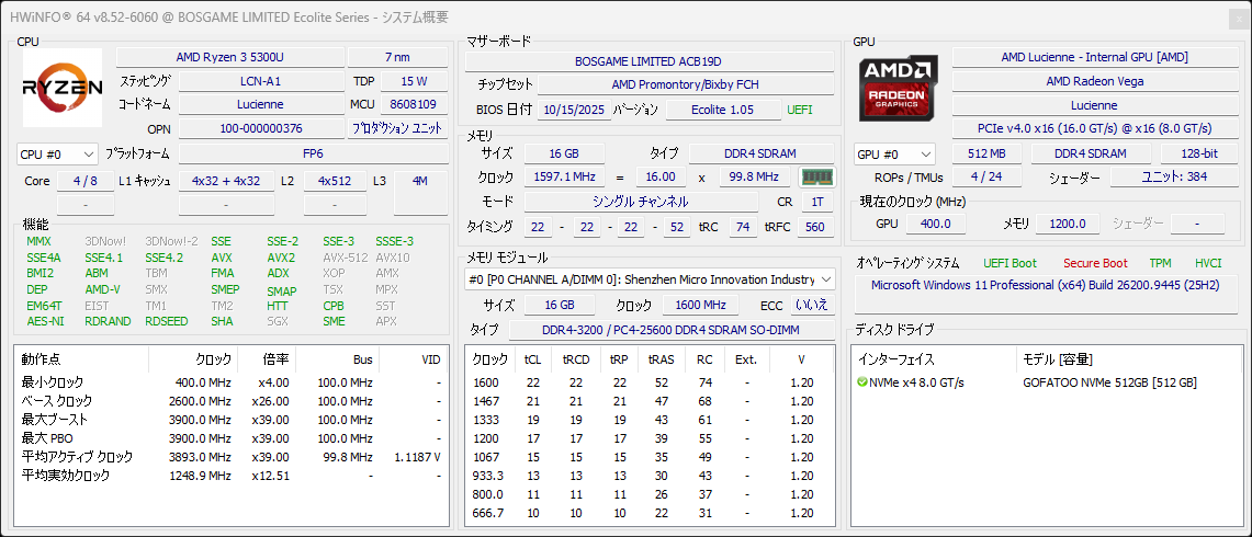 HWiNFOで確認したBOSGAME E5のシステム概要